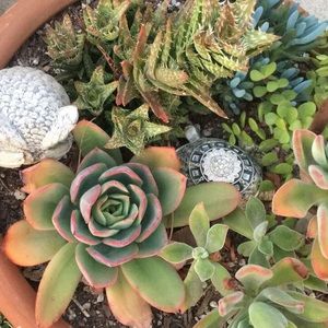 Meet your Posher, Fabiola